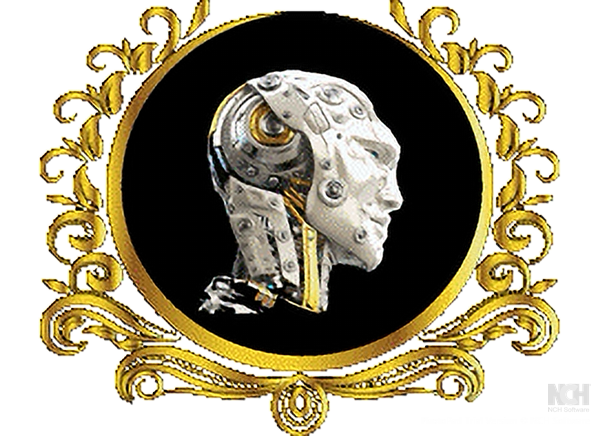 AIS Jewelry Store Co.